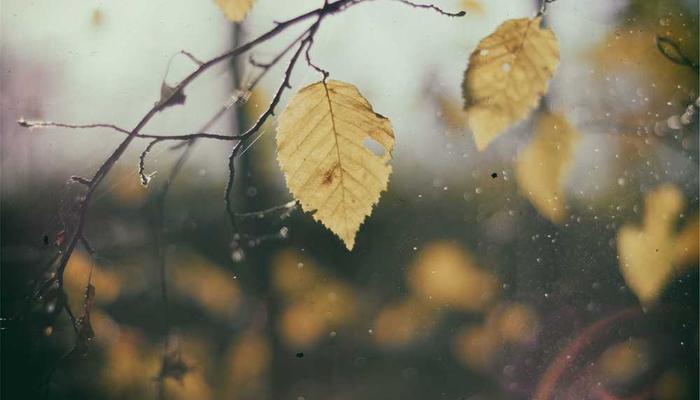 蜜桃视频最新更新专区